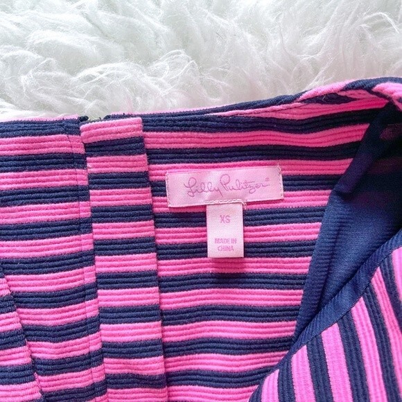 Lilly Pulitzer Brielle Fit and Flare Dress - Pink and Navy Stripe | Size XS - Picture 4 of 9
